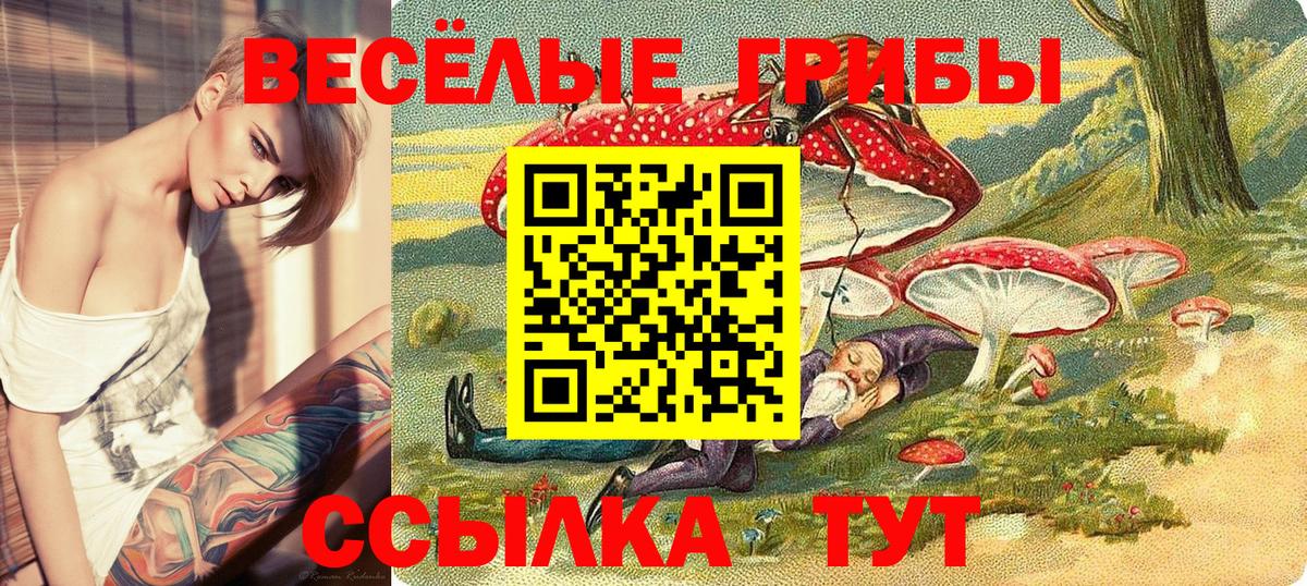 Галлюциногенные грибы мухоморы Богданович